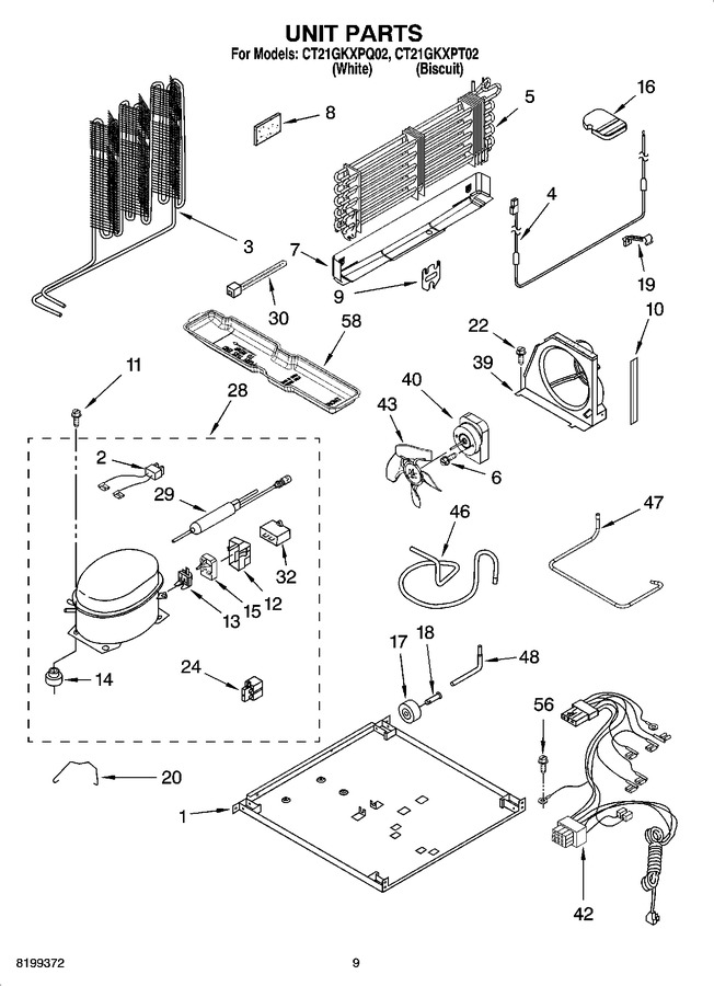 Diagram for CT21GKXPQ02