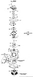 Diagram for 5 - 2 - Speed